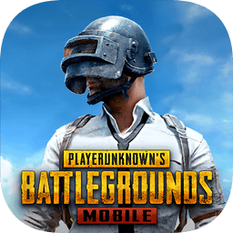 PUBG MOBILE(地铁逃生国际服)